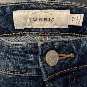 Torrid destroyed jeans